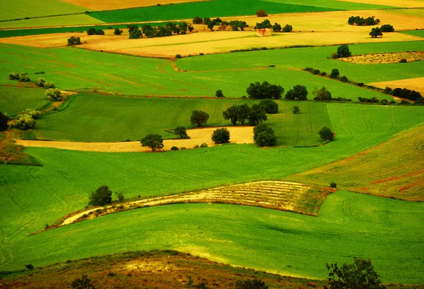 Campos Sendero de la Morera y de los Valles